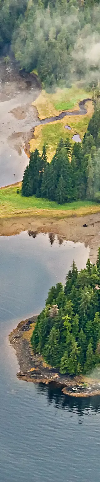 Gib dich der Natur des grössten Nationalforstes des Landes hin
